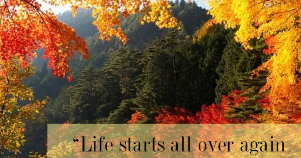 In the fall all things seem new….again